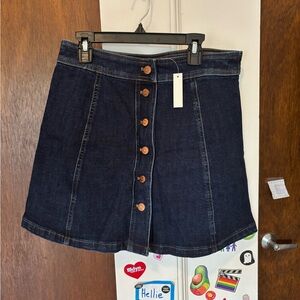 Denim A-line Button-Front Madewell Skirt